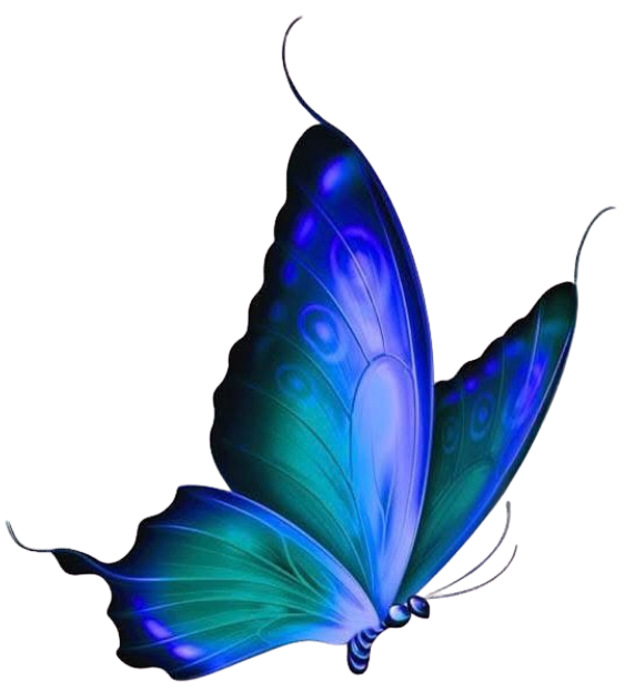 Mariposa decorativa volando